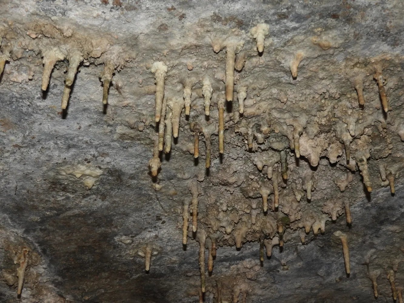 🏞️ 도마 종유동(도마쇼뉴도) 이미지 7